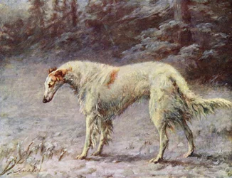 Mistrz Ivan Turgeneff